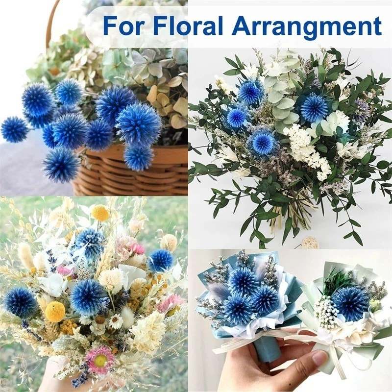 Dried Blue Thistle Flowers Bouquet