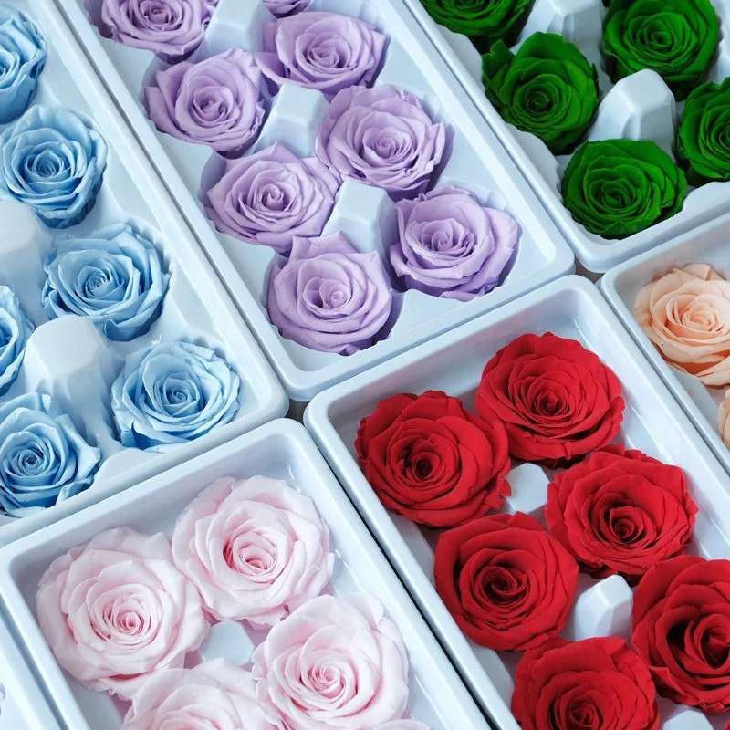 8pcs Eternal Flower Preserved Rose DIY Material