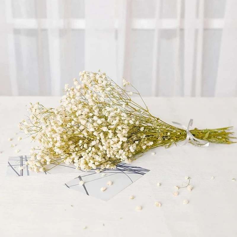 Natural Baby's Breath: Dried Flowers (Gifts & Decor)