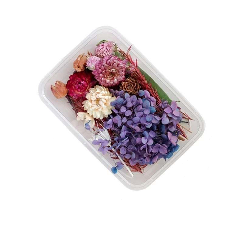 Aromatherapy Wax Melts & Dried Flower Jewelry Kit