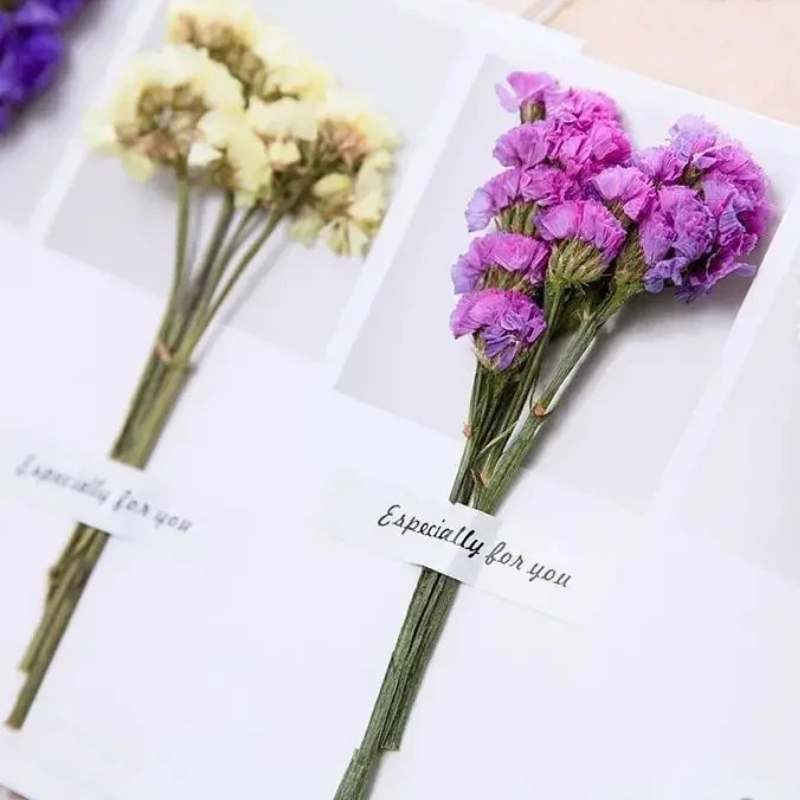 Pack of 5 Dried Flowers Greeting Cards with Envelopes