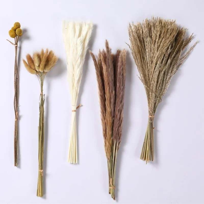 Dried Pampas Grass Bouquet