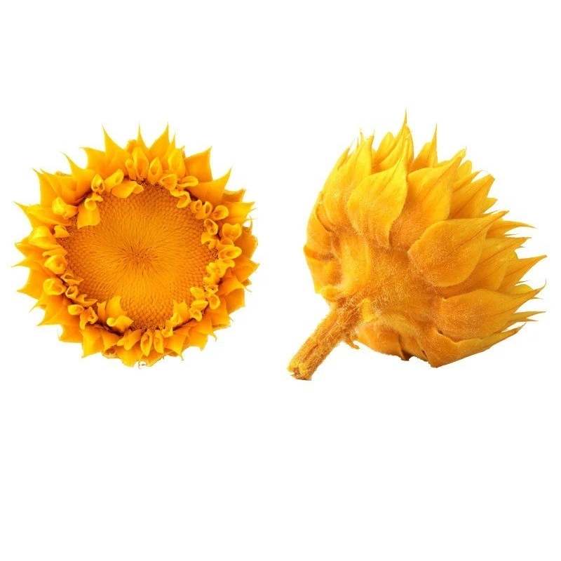 3PCS Eternal Life Sunflower Heads