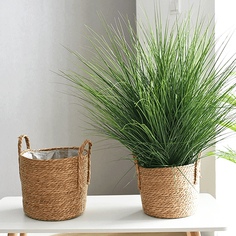 Giant Nordic Planter: Handwoven Seagrass Basket for Indoor Plants (Extra Large!)