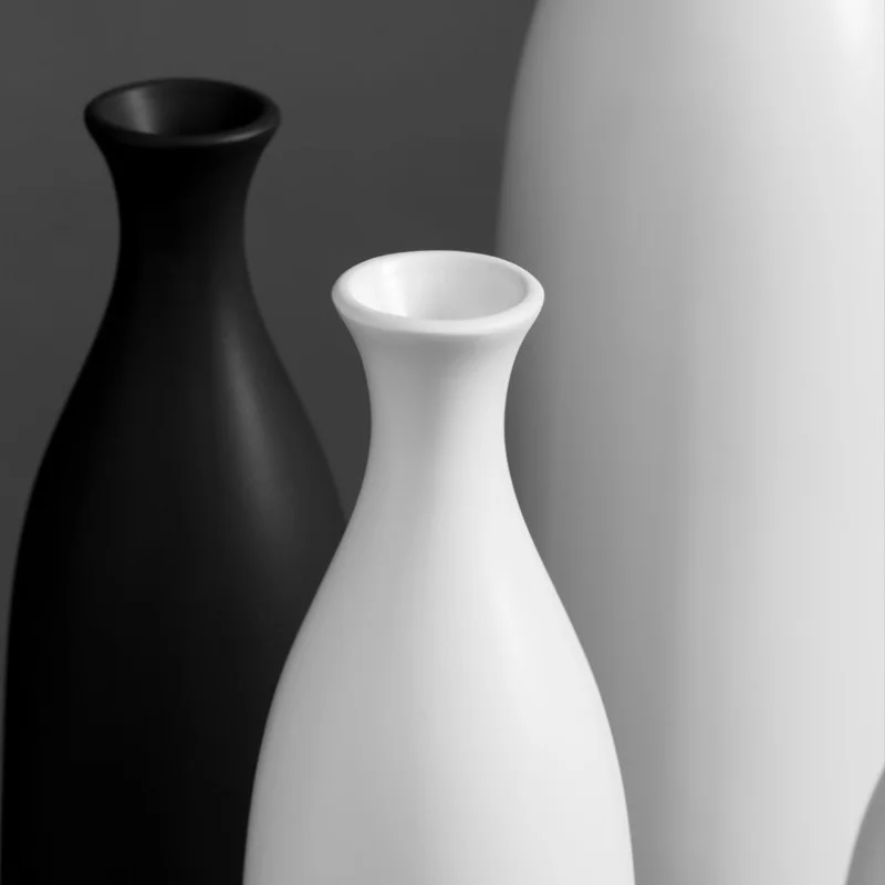 Modern Ceramic Vase for Creative Home Decor - Black and White