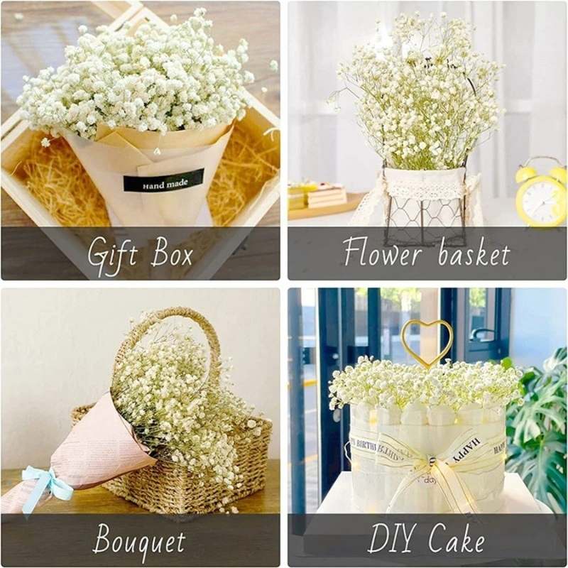 Natural Baby's Breath: Dried Flowers (Gifts & Decor)