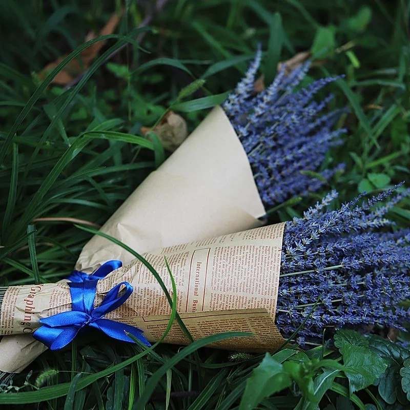 Natural Dried Lavender Flowers