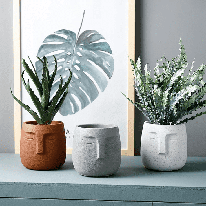 Conversation-Starting Planter: Whimsical Head Vase for Succulents & More