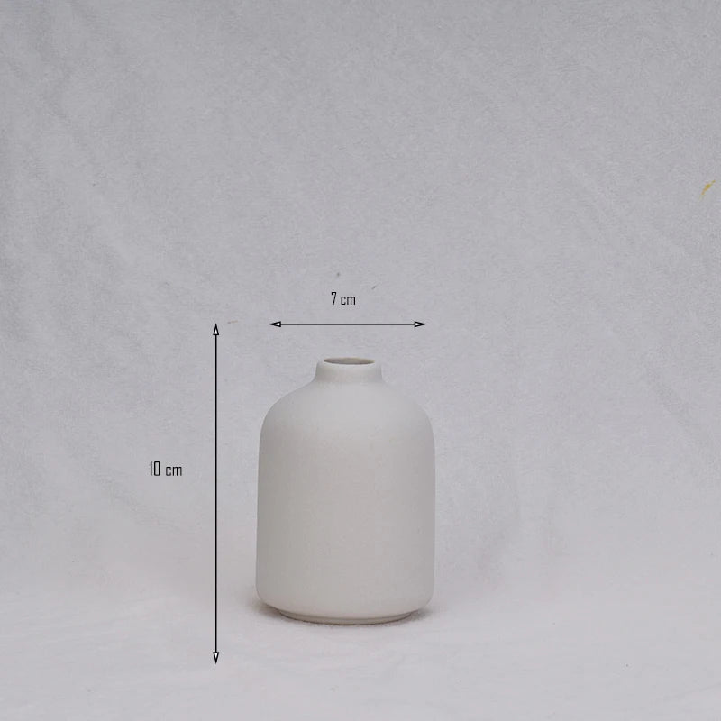 Minimalist Ceramic Vase: Versatile Beauty for Every Room (Gift-Ready!)