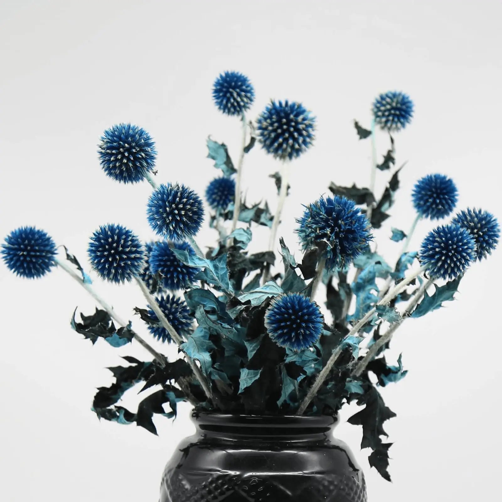 Dried Blue Thistle Flowers Bouquet