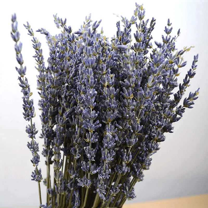 Natural Dried Lavender Flowers