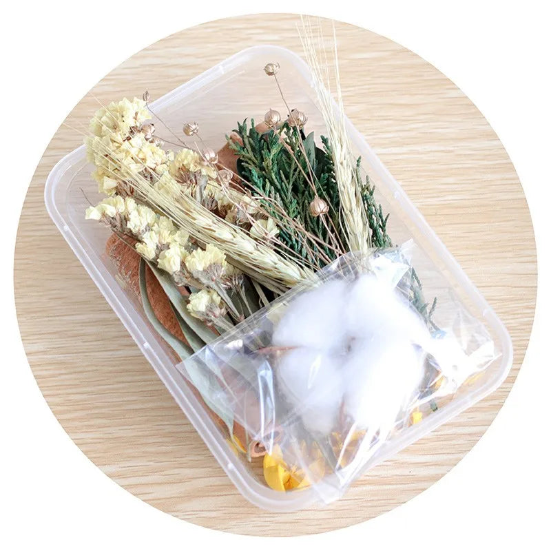 Mixed Real Dried Flower Box for DIY Crafts and Decor