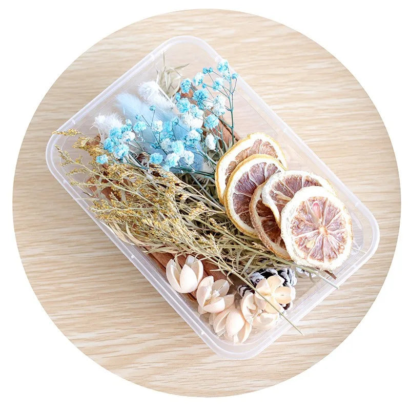 Mixed Real Dried Flower Box for DIY Crafts and Decor