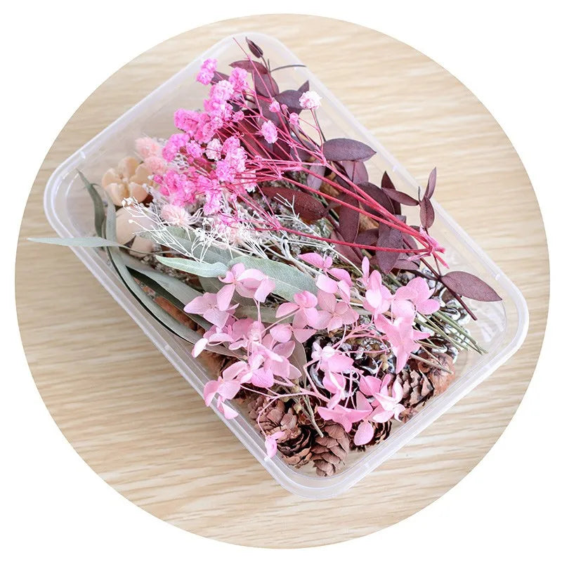 Mixed Real Dried Flower Box for DIY Crafts and Decor