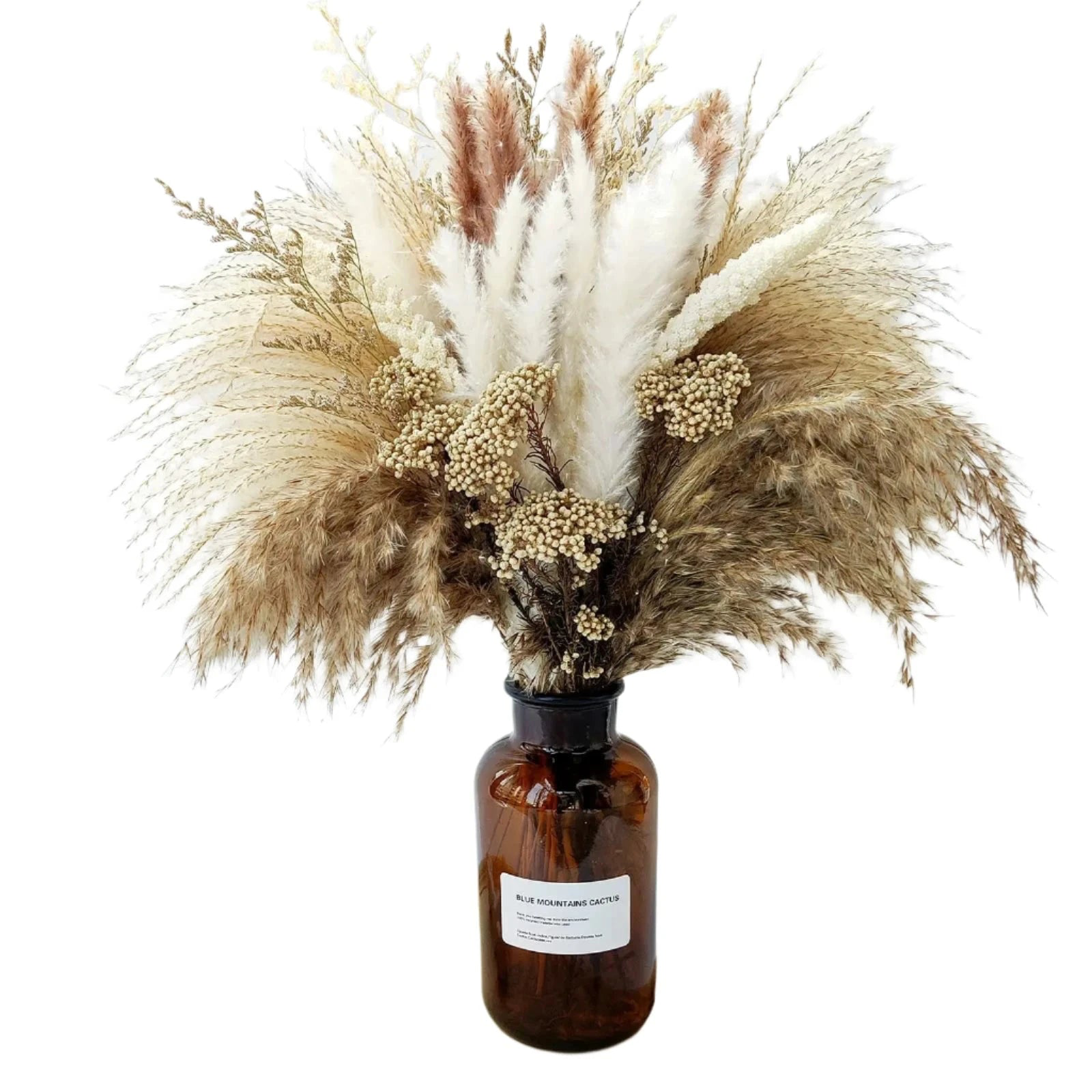 Natural Pampas Grass Flowers Set - 80 Pieces