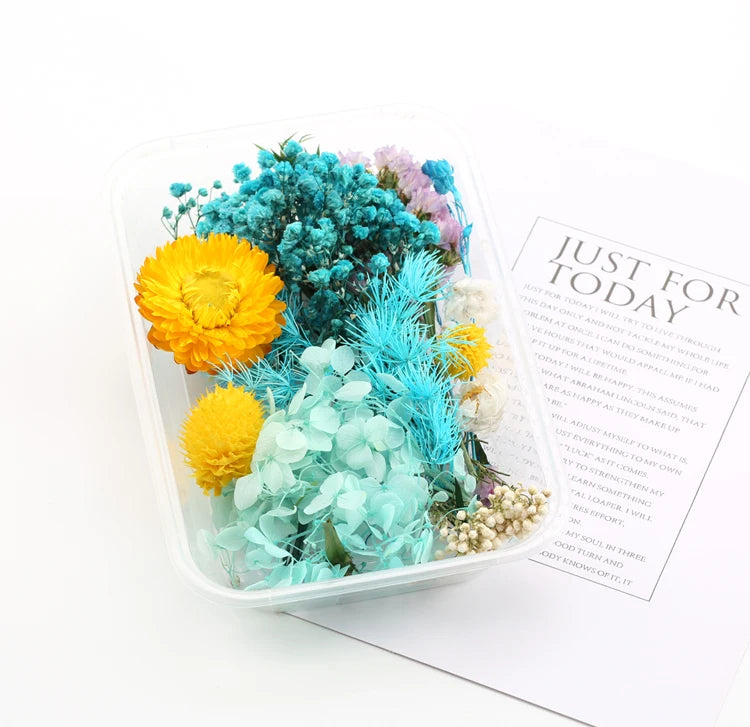 Real Natural Dried Flowers for DIY Crafts