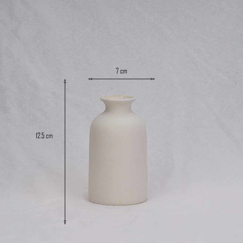 Minimalist Ceramic Vase: Versatile Beauty for Every Room (Gift-Ready!)