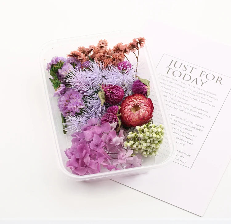 Real Natural Dried Flowers for DIY Crafts