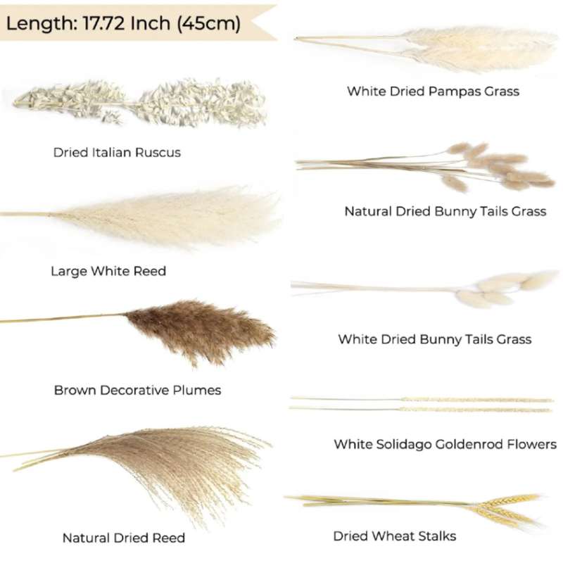 Natural Pampas Grass Flowers Set - 80 Pieces