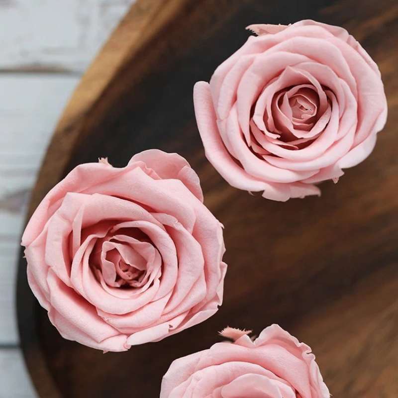 8pcs Eternal Flower Preserved Rose DIY Material